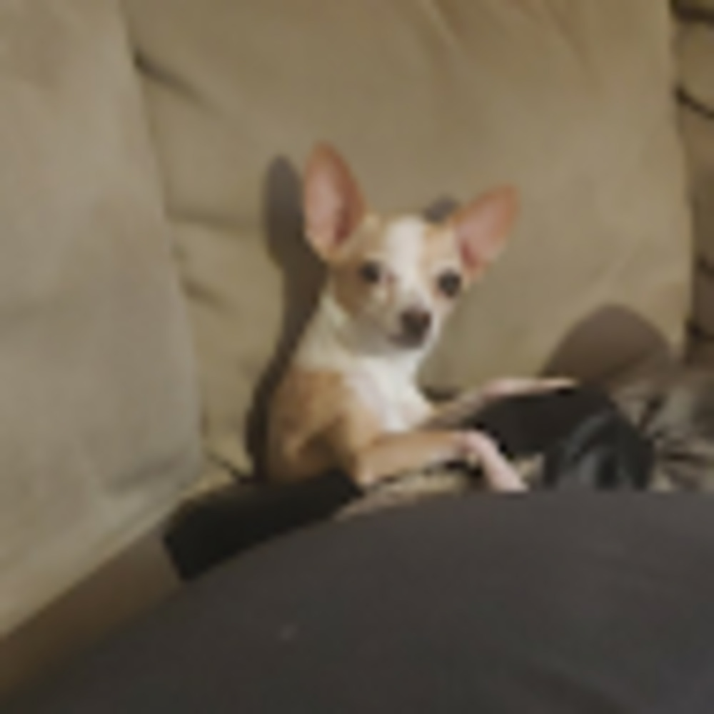 Meet your Posher, Marie